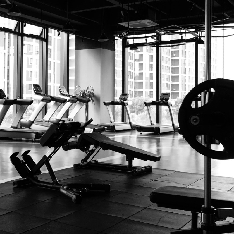 SHARKS GYM